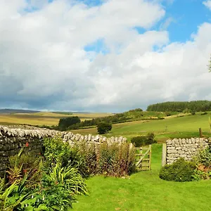 https://roman-cottage-hadrians-wall-dark-sky-outpost.hotels-newcastle-upon-tyne.com